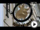 Посмотреть это видео на youtube.com Программа ННТ