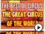 http://israelafisha.info/announce/10001 Купить  билеты  на шоу Лучшие цирки мира в Израиле, 85-135 шек, скидка isracard, 11-28/10/11. в